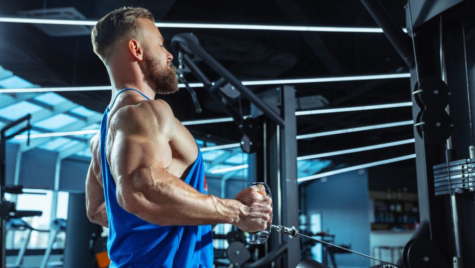 Chest Workouts with Cables: The Ultimate Guide